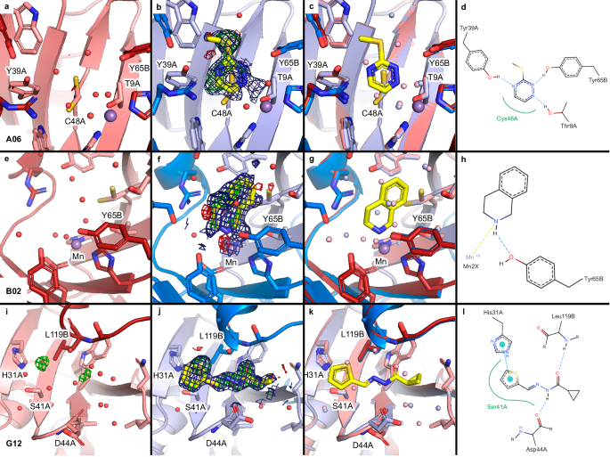 Fig. 6: Fragments identified only through cryo data collection binding at or near the active site of FosAKP.