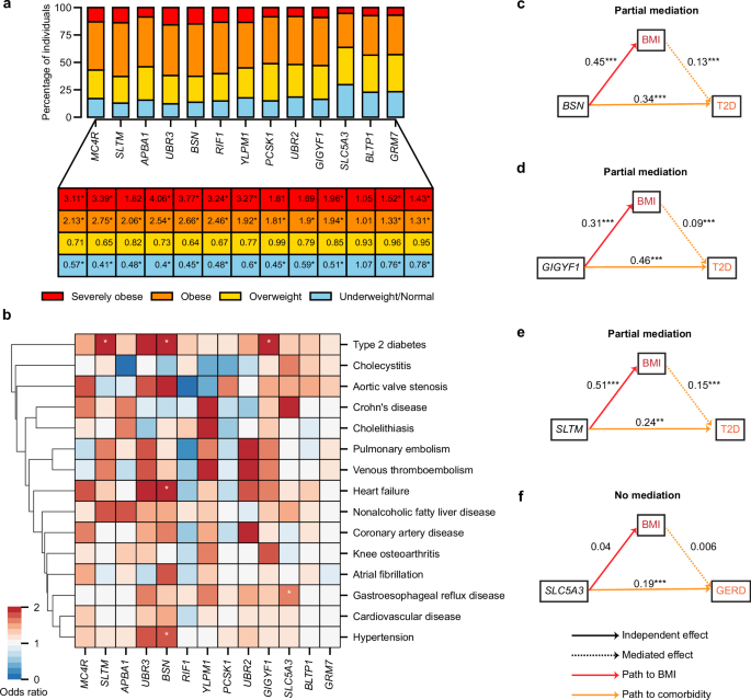 Fig. 3: Enrichment of obesity and cardiometabolic comorbidities in PTV carriers of the discovered BMI-associated genes.