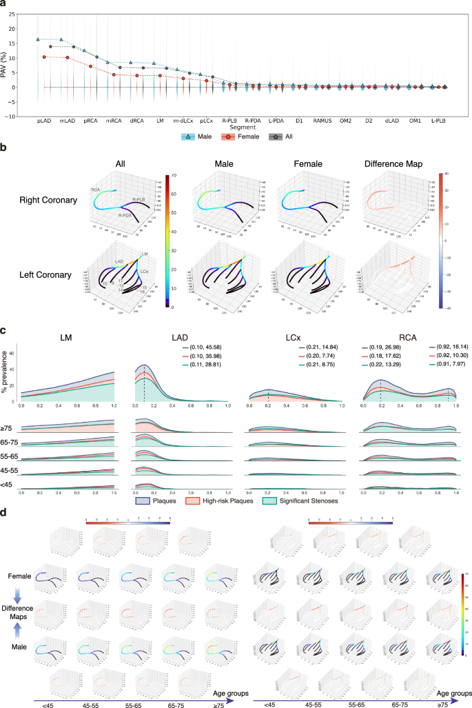 Fig. 5: Spatiotemporal patterns of coronary artery atherosclerosis.