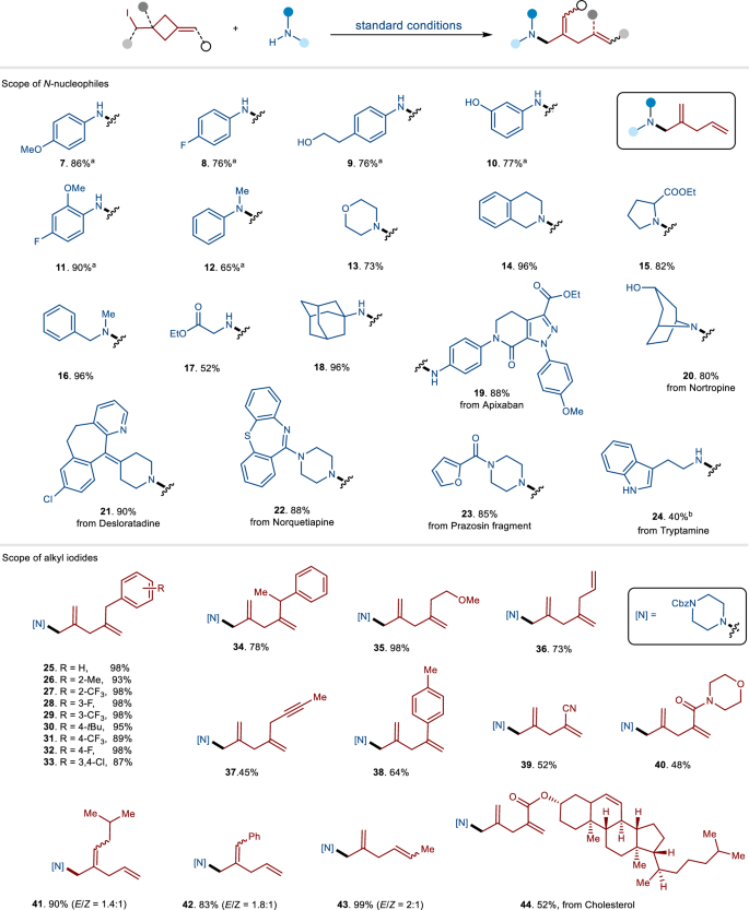 Fig. 2: The substrate scope of N-nucleophiles and alkyl iodides.