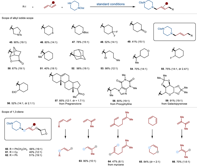 Fig. 3: The substrate scope of alkyl iodides and 1,3-dienes.