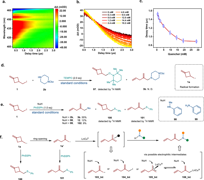 Fig. 6: Mechanistic studies.