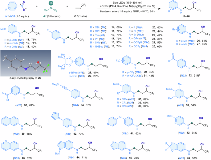 Fig. 3: Scope of nitroarenes.
