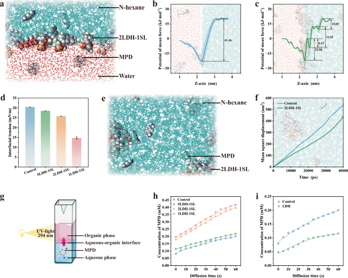 Fig. 2: Mechanisms governing the incorporation of sodium lignosulfonate-modified layered double hydroxides (LDH-SL) nanoparticles in the fabrication of thin-film nanocomposite (TFN) membranes.