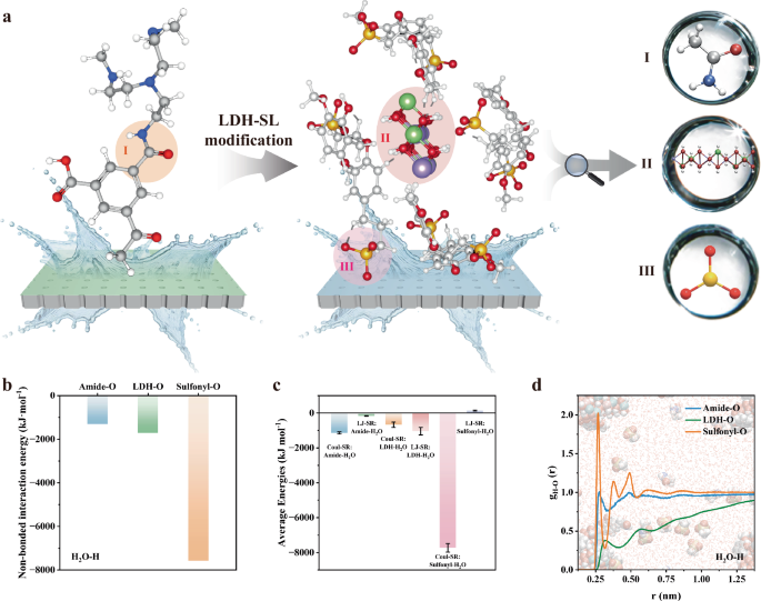 Fig. 5: Mechanisms governing the incorporation of sodium lignosulfonate-modified layered double hydroxides (LDH-SL) nanoparticles in the fabrication of water permeation.