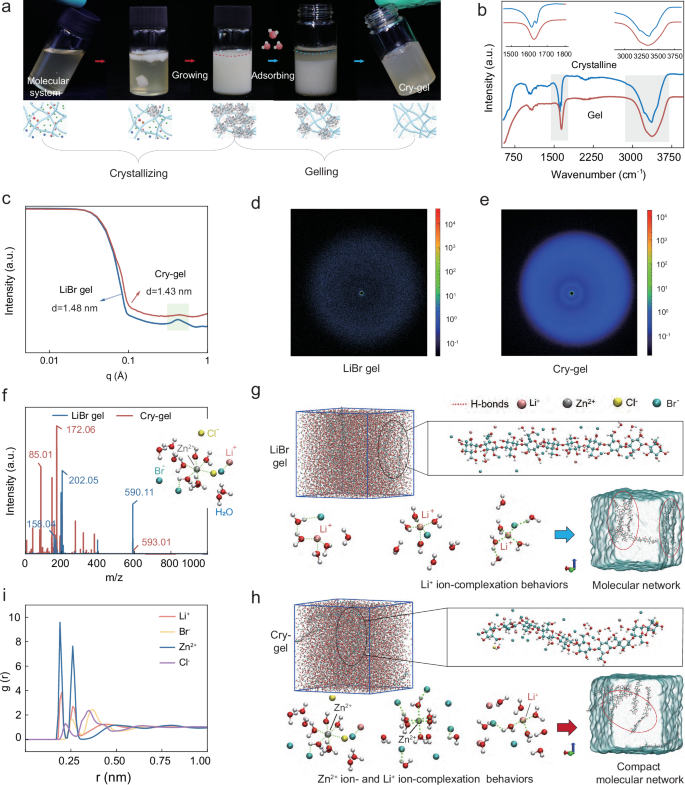 Fig. 2: Mechanism of crystallization-induced assembly of Cry-gel.