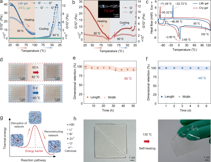 Fig. 3: Temperature stability and self-healing property of Cry-gel.