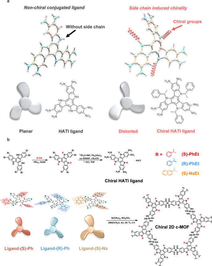 Fig. 1: Design, synthesis, and structure elucidation of chiral ligands.