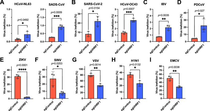 Fig. 2: UHRF1 specifically restricts the infection of coronaviruses.