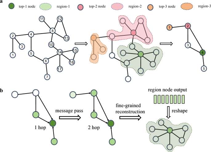 Fig. 6: Specific implementation of regional graph representation and fine-grained reconstruction.