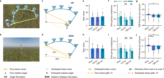 Fig. 1: The experiments of return-to-start tasks and the behavior results.