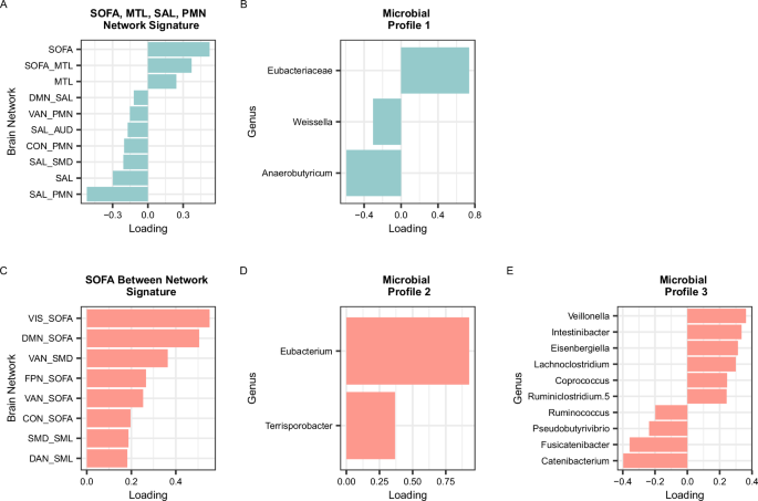 Fig. 1: Component loadings for brain signatures and microbial profiles.