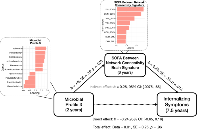 Fig. 5: Diagram summarizing results from the mediation analysis testing the effect of Microbial Profile 3 on child internalizing symptoms through the SOFA Between Network Connectivity Brain Signature.