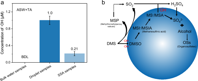 Fig. 3: ·OH concentration and organosulfates (OSs) formation pathway.