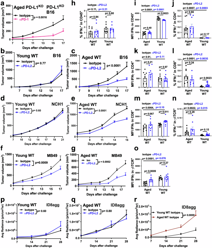 Fig. 1: PD-L1 is dispensible for αPD-1 efficacy against B16 melanoma in the aged host and αPD-L2 efficacy varies by host age and tumour type.