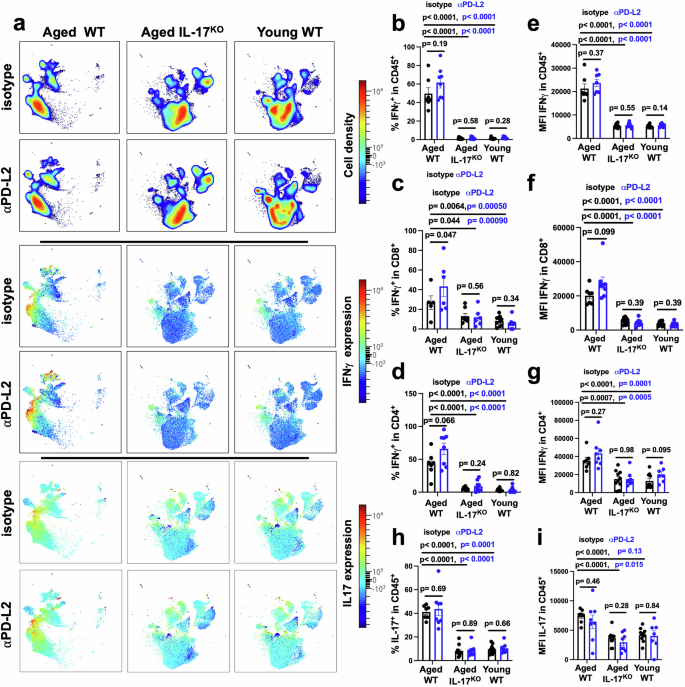 Fig. 3: IFNγ and IL-17 cooperate for aged host αPD-L2 efficacy against B16 melanoma.