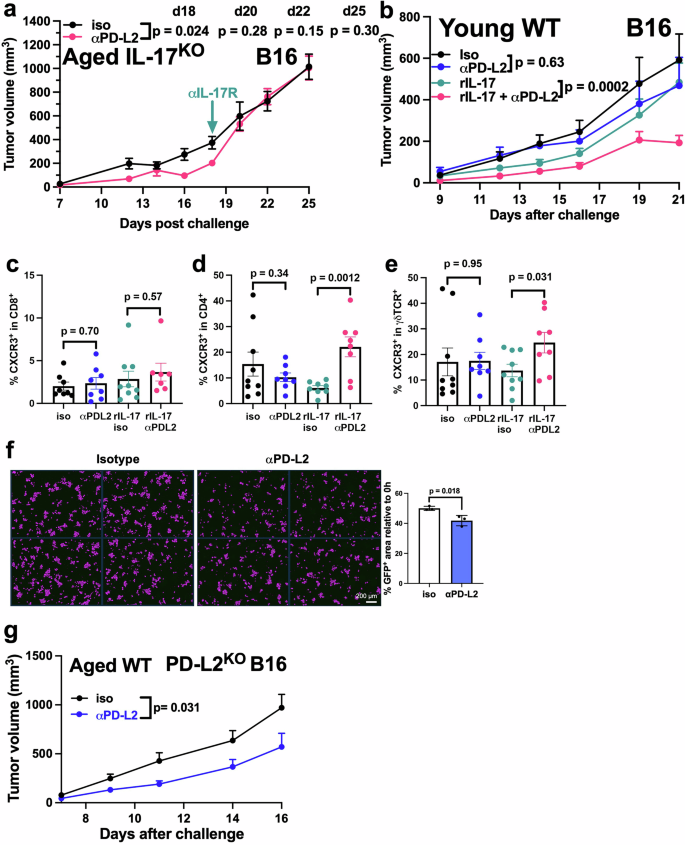Fig. 7: αPD-L2 efficacy exhibits host age and tumour type specificity.
