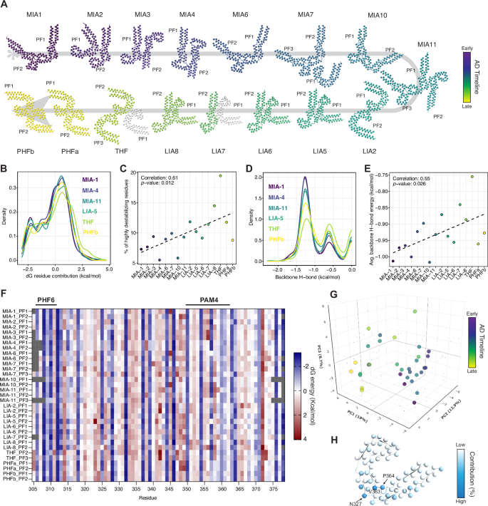 Fig. 3: Thermodynamic profiling of tau protofilaments along the AD maturation pathway.