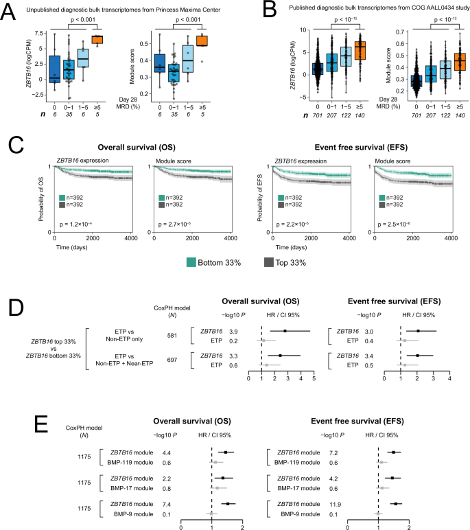 Fig. 4: Clinical validation of ZBTB16 signal in independent T-ALL cohorts.