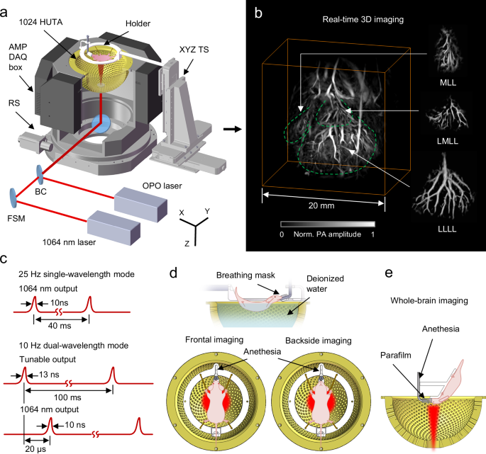 Fig. 1: System design and imaging examples of 3D-PanoPACT.