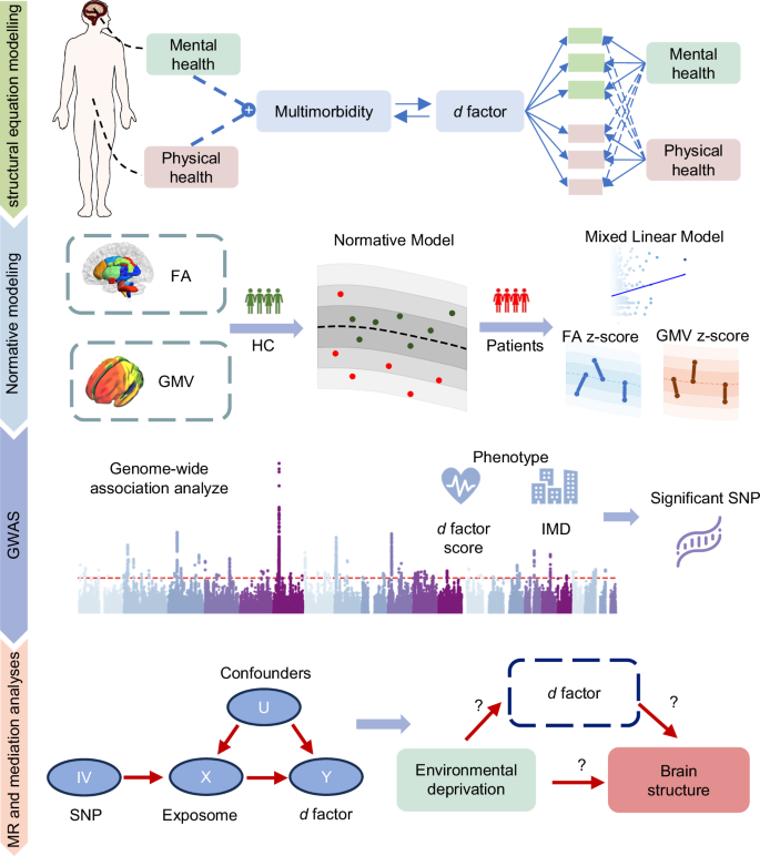 Fig. 1: The analytical pipelines used in this study.