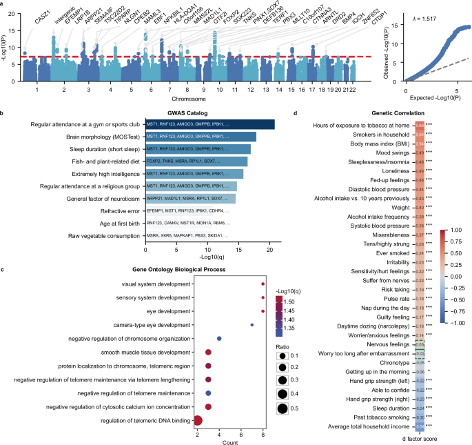 Fig. 3: Genome-wide association analysis of d factor scores estimates.