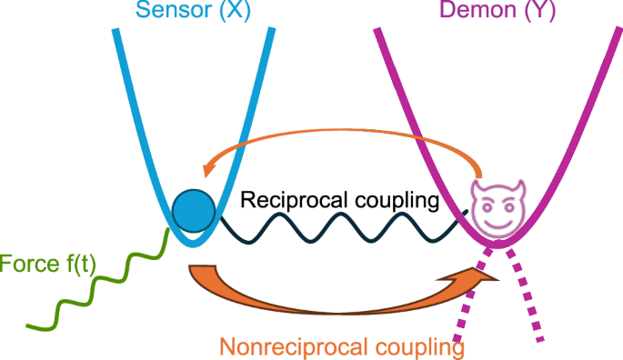 Fig. 1: Sensor-demon system.