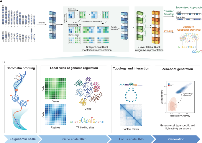 Fig. 1: The schematic overview of the pretraining framework.