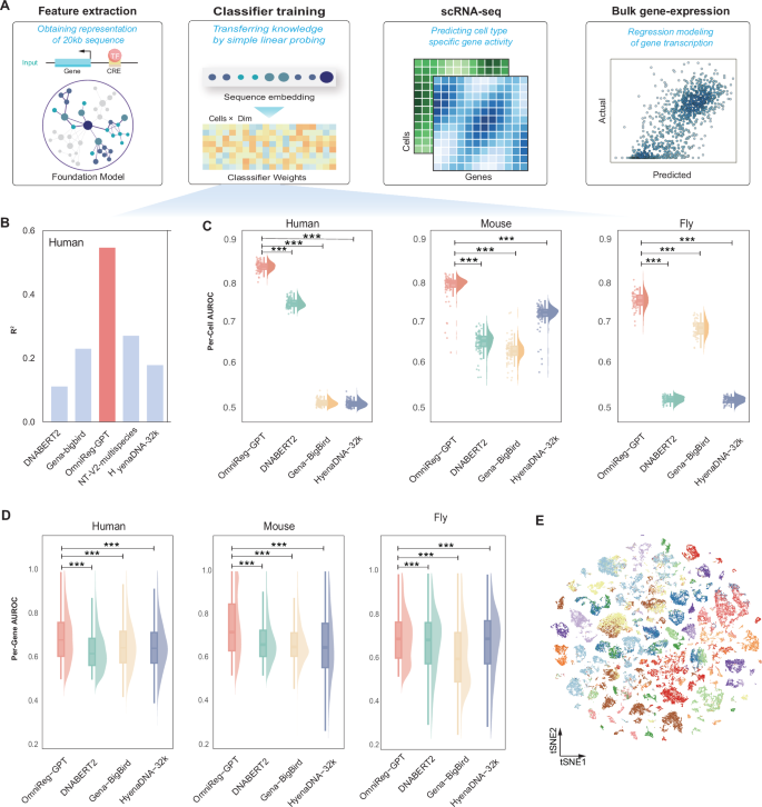 Fig. 3: Prediction result for context-dependent gene expression.
