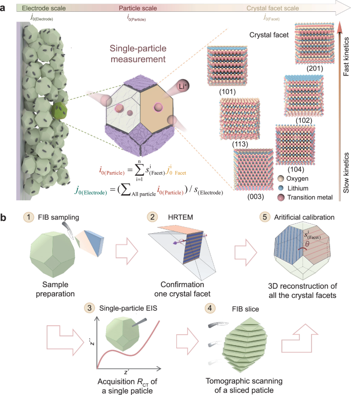 Fig. 1: Relation of exchange current density at different scales and the method for quantitatively identifying the j0(Facet) of crystal facets.