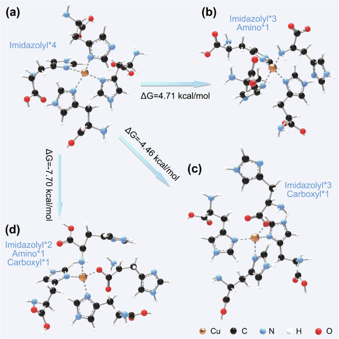 Fig. 2: Comparison of the thermodynamic stability of Cu catalytic sites with different structures.