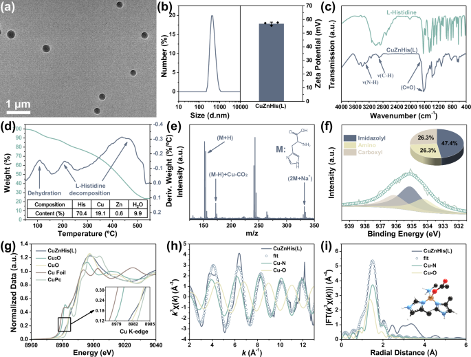 Fig. 4: Characterization of the morphology, composition and structure of CuZnHis(L) assemblies.