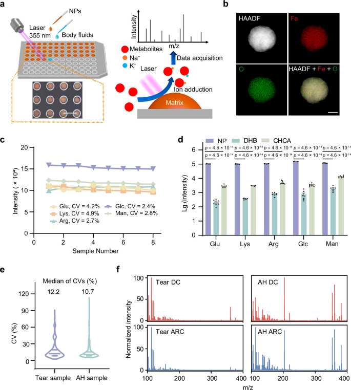 Fig. 2: Construction of the NELDI-MS platform for metabolic analysis.