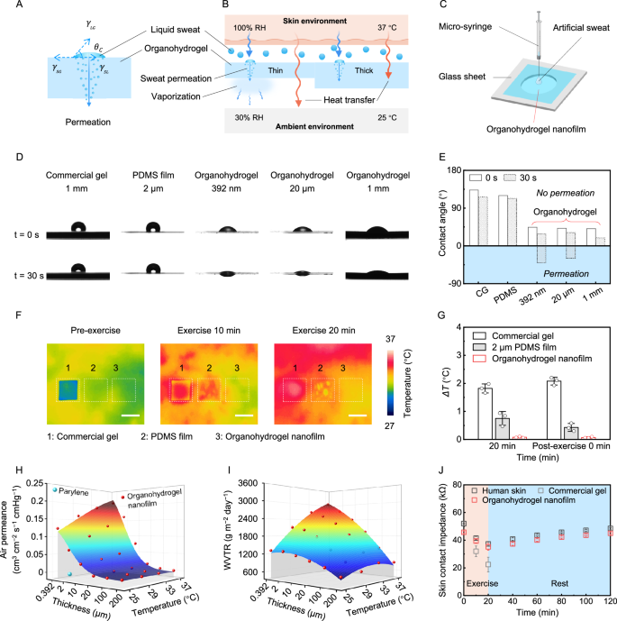 Fig. 3: Skin adaptability of organohydrogel nanofilms.