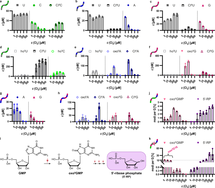 Fig. 3: Absolute quantification of oxidative lesions and abasic sites in HOCl-treated synthetic oligoribonucleotides.
