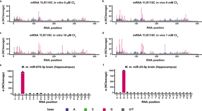 Fig. 7: AAS detects preferentially G sites in native mRNA and miRNA under physiological conditions and under oxidative stress.