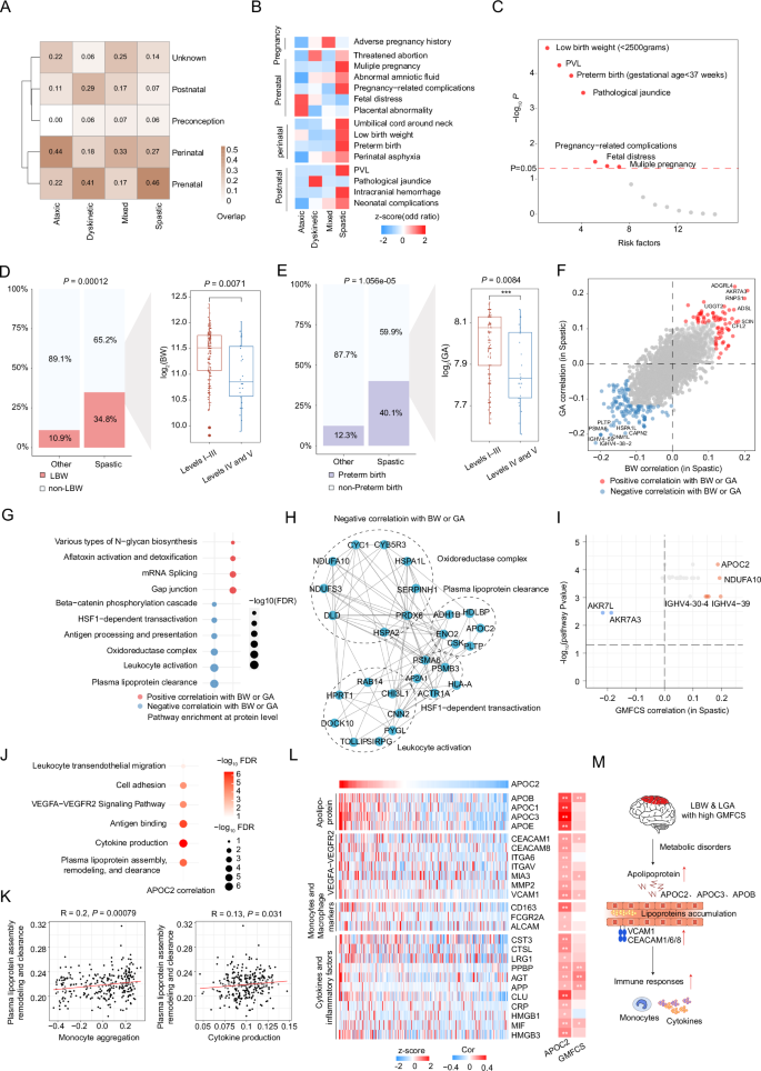Fig. 4: Molecular characterization of CP children with low birth weight and preterm birth.