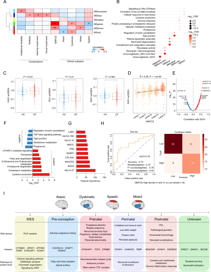 Fig. 5: WGCNA reveals an association between the IGHV-related protein module and higher GMFCS levels.