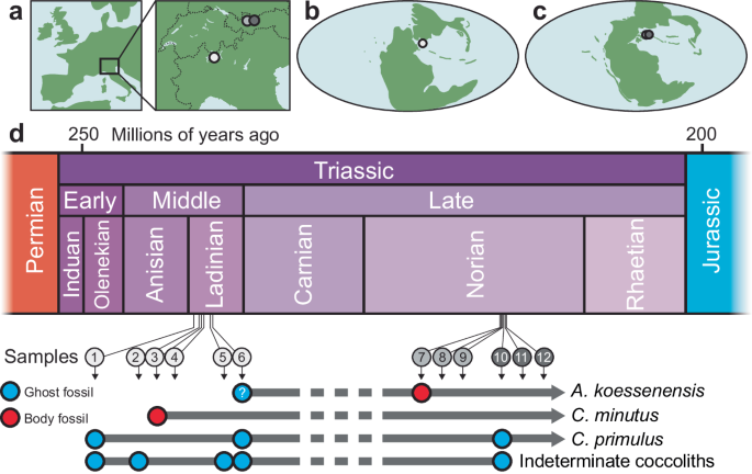 Fig. 2: Study sites and fossil occurrences.