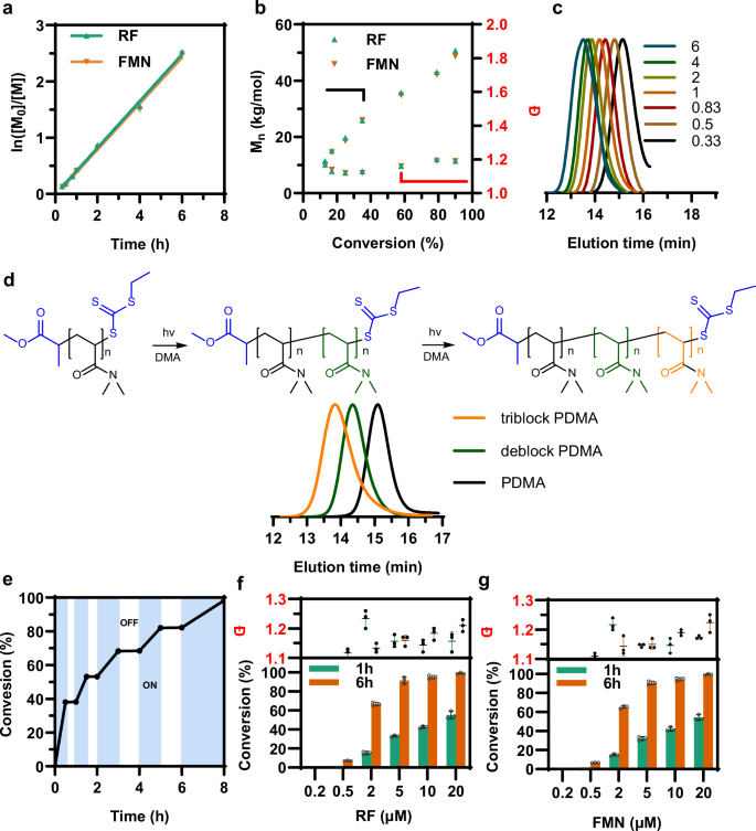 Fig. 3: Kinetic results of the S. oneidensis-triggered RAFT polymerization with exogenously added flavins (riboflavin and FMN).