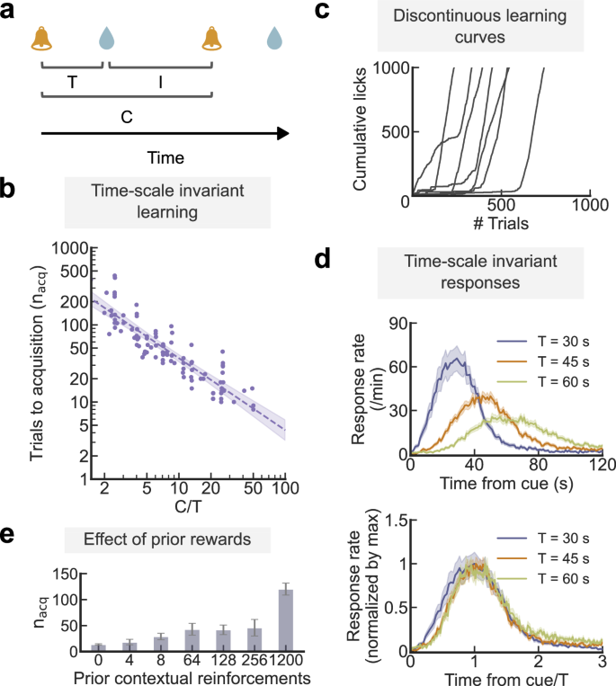 Fig. 1: Learning phenomena in a classical conditioning paradigm.