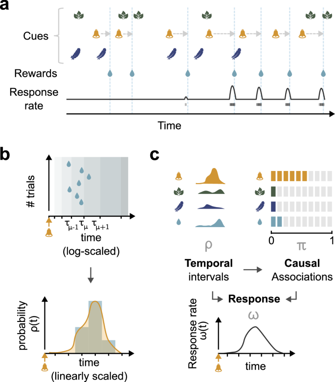 Fig. 2: Overview of the model.
