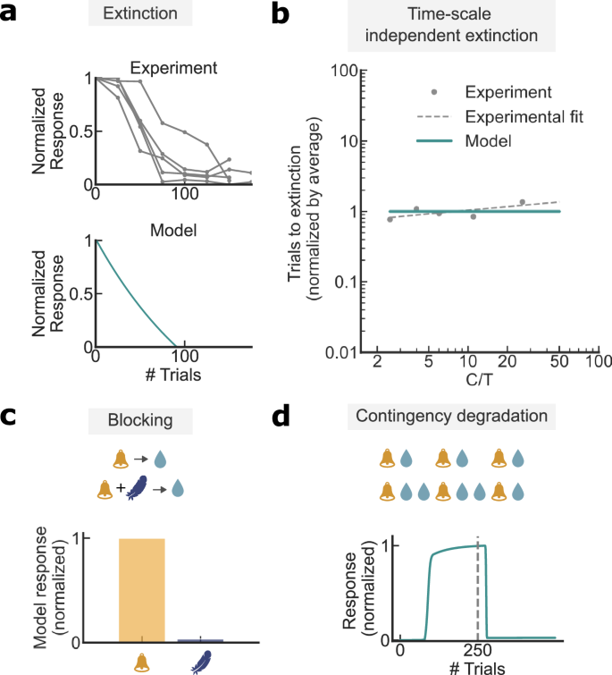 Fig. 5: The TCL model is consistent with classical conditioning results.