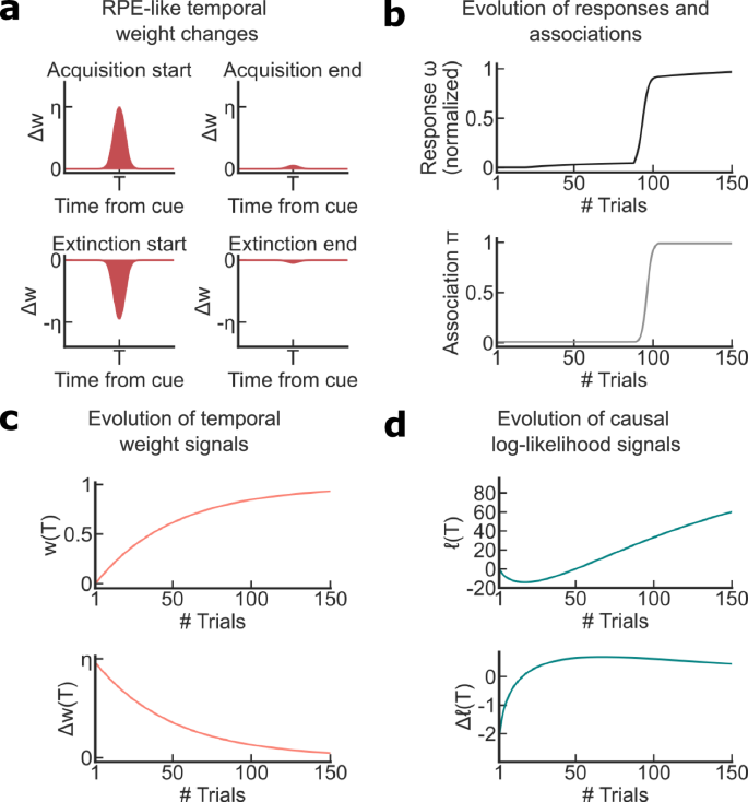 Fig. 6: The TCL model predicts the existence of two learning signals: a classical RPE-like signal and a causal association signal.