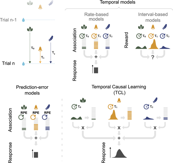 Fig. 7: Associative learning theories.