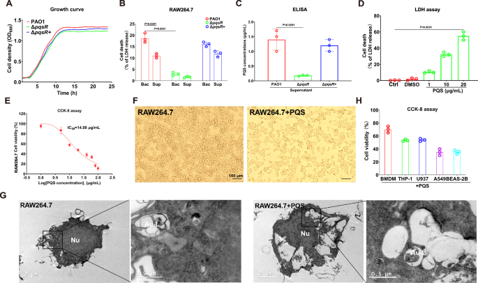 Fig. 1: Pseudomonas quinolone signal (PQS), the P. aeruginosa quorum-sensing metabolite, triggers macrophage cytotoxicity.