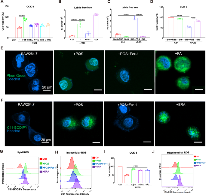 Fig. 2: PQS promotes iron-dependent lipid peroxidation to induce ferroptosis in macrophages.