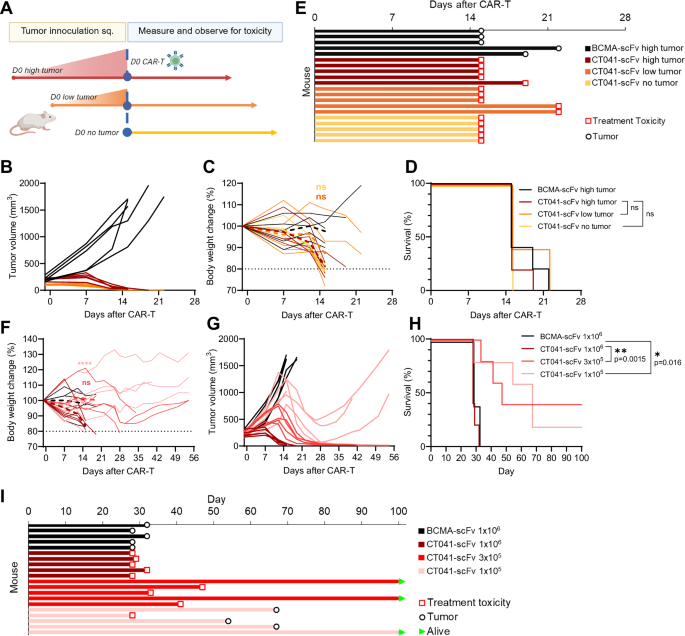Fig. 3: Toxicity from CT041-scFv is dependent on dose and not tumor burden.