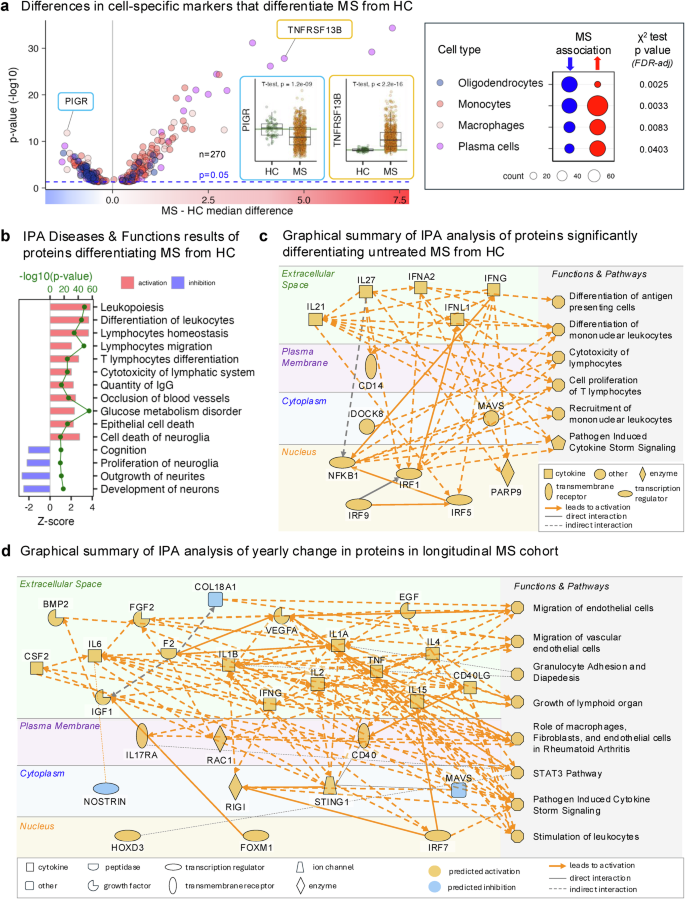 Fig. 2: Proteomic data and summary models that differentiate untreated multiple sclerosis (MS) cohort from healthy controls (HC) and that evolve with MS natural history.