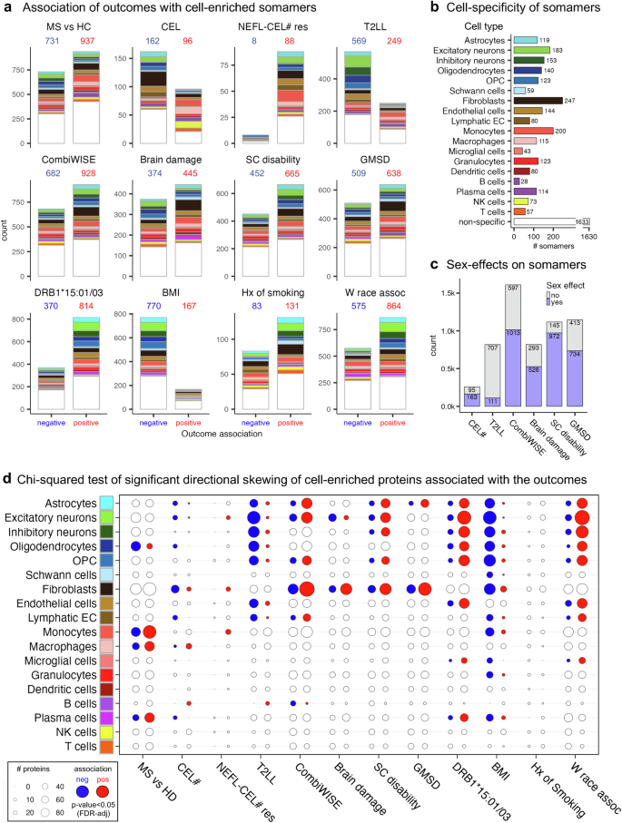 Fig. 3: Cell-enriched cerebrospinal fluid (CSF) proteins associated with multiple sclerosis (MS) outcomes and residual sex effects in untreated people with MS (pwMS).